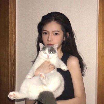 明日方舟华为版下载安装