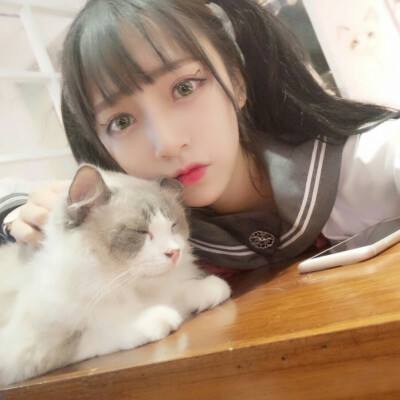 西游塔防传手机版